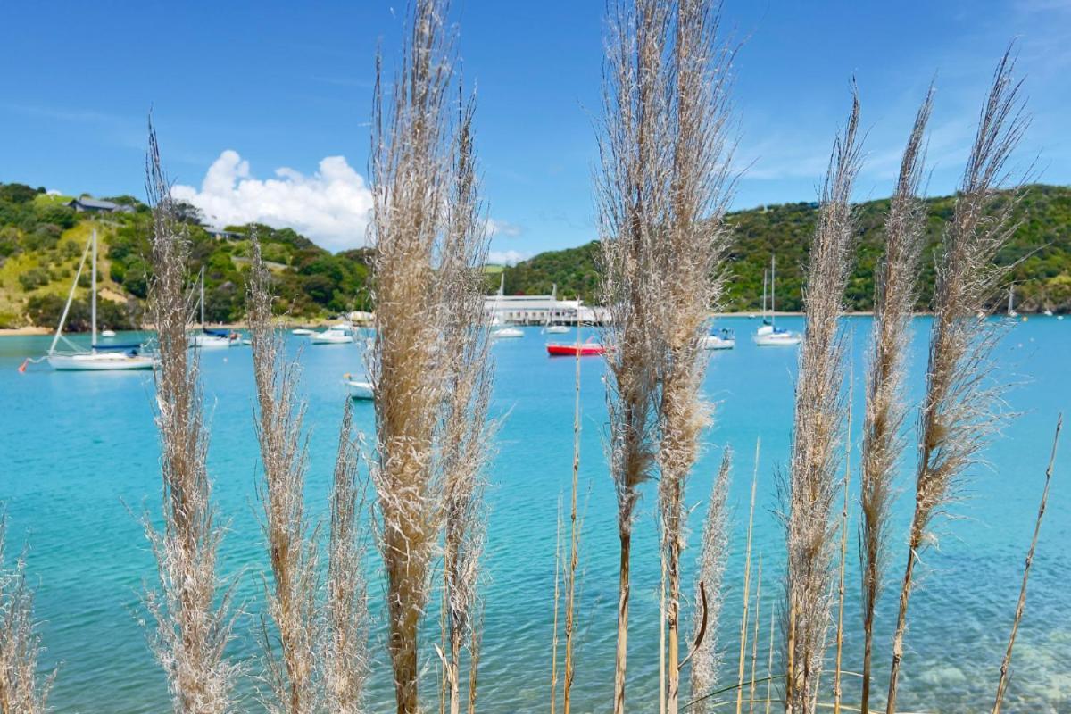 Waiheke Backpackers Hostel Onetangi المظهر الخارجي الصورة