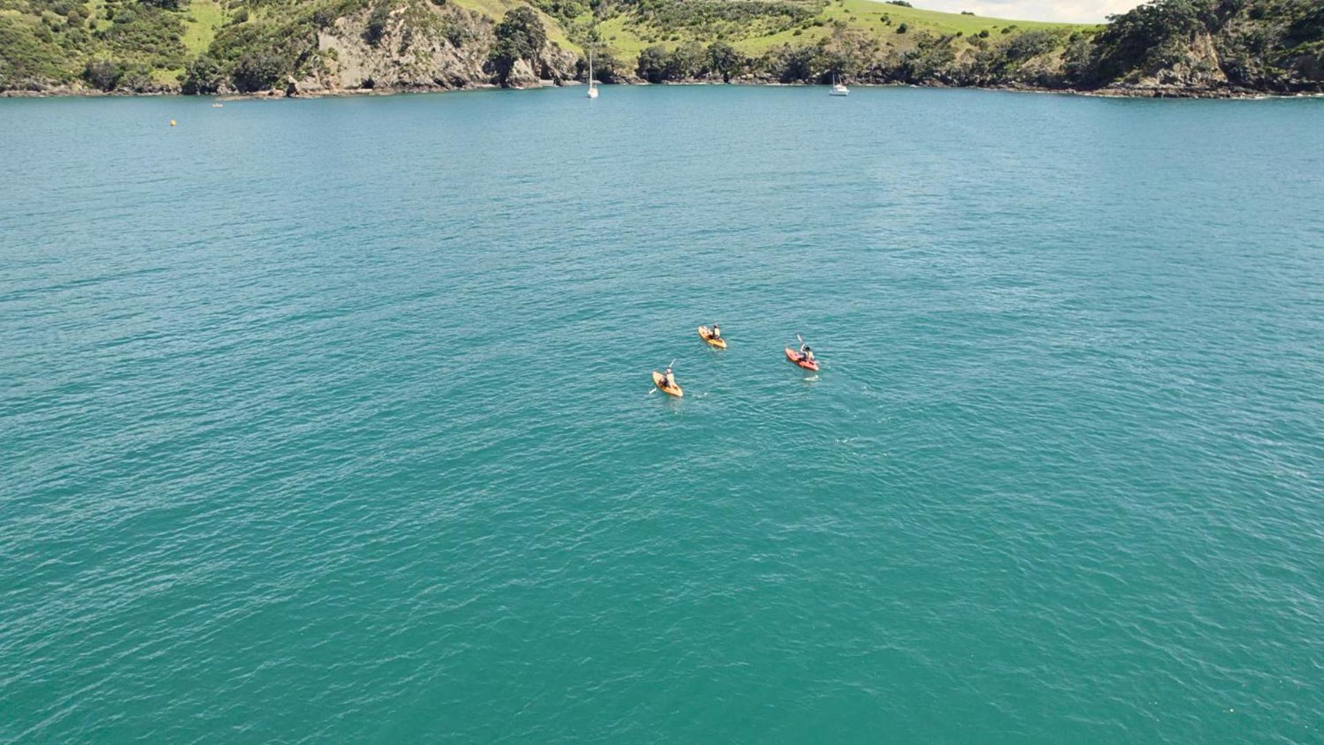 Waiheke Backpackers Hostel Onetangi المظهر الخارجي الصورة