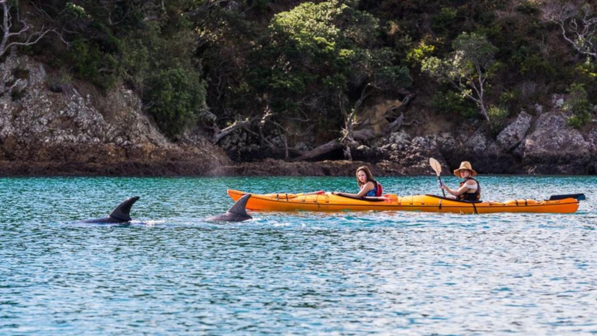 Waiheke Backpackers Hostel Onetangi المظهر الخارجي الصورة